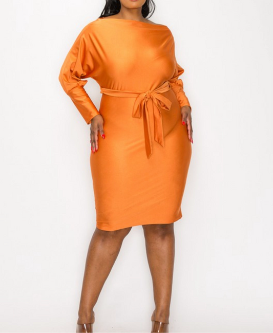 Plus Size Bodycon Dress