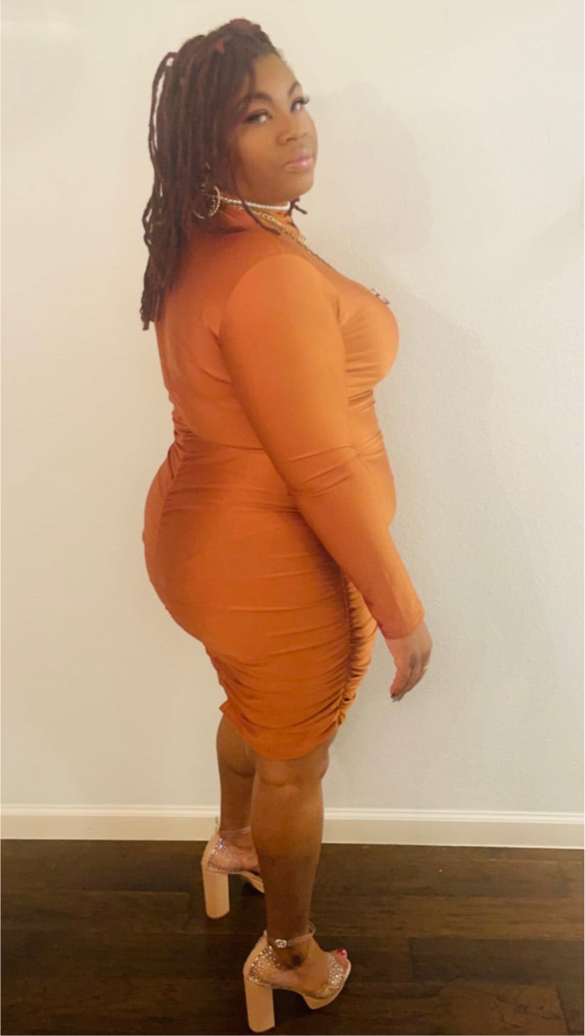 Bodycon “Plus Size” Dress